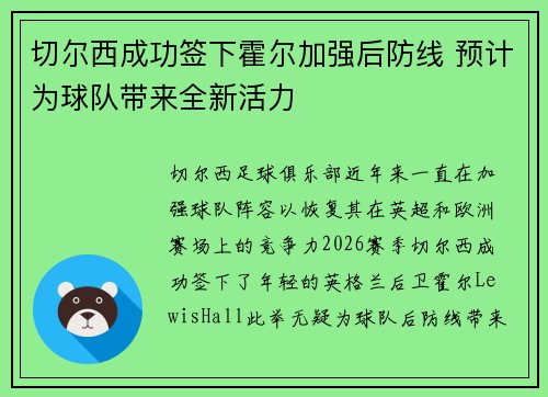 切尔西成功签下霍尔加强后防线 预计为球队带来全新活力